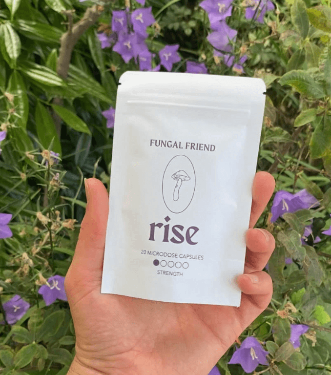 10 rise mushroom capsules